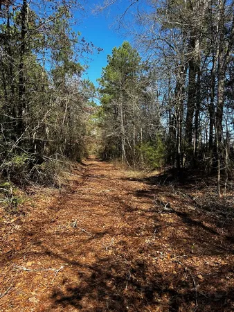 a view of outdoor space and trees