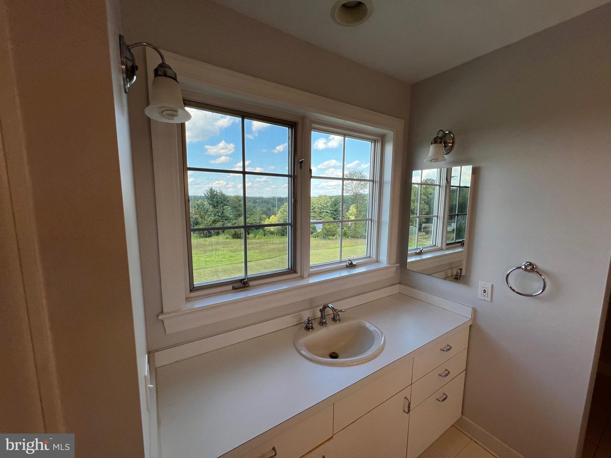 1343 Phoenix Road Sparks Glencoe, MD 21152 - Photo 35 of 57 a bathroom with a sink and a window