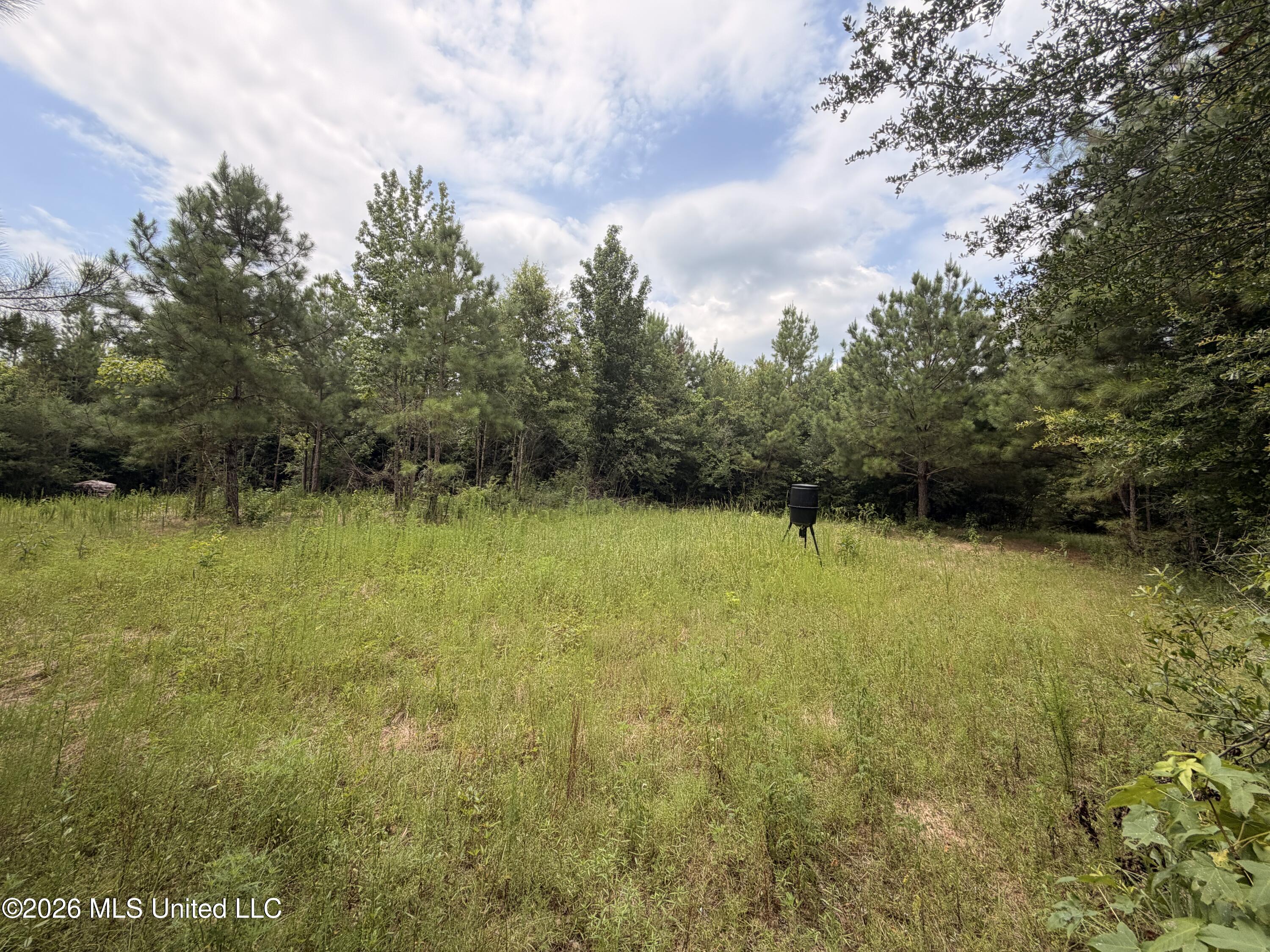 0 Beartown Road Jayess, MS 39641 - Photo 18 of 28 IMG_6557
