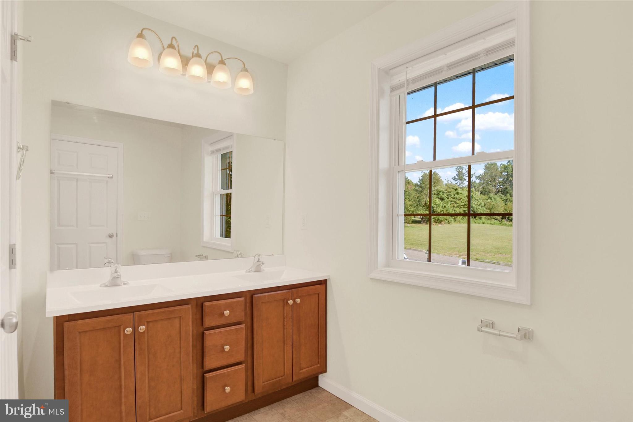 48 Dustin Drive Halifax, PA 17032 - Photo 17 of 31 a bathroom with a double vanity sink and a mirror