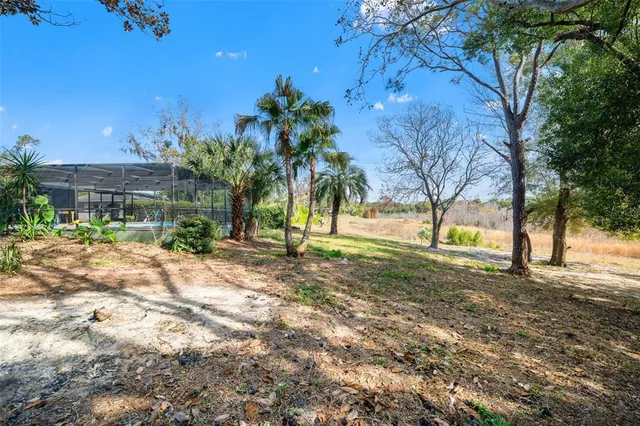 a view of a yard with plants and trees