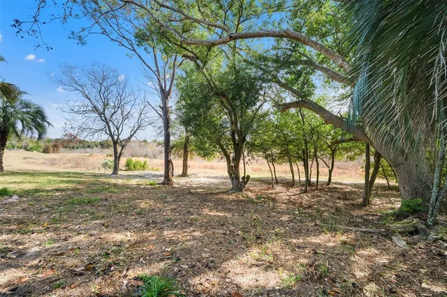a view of yard with trees