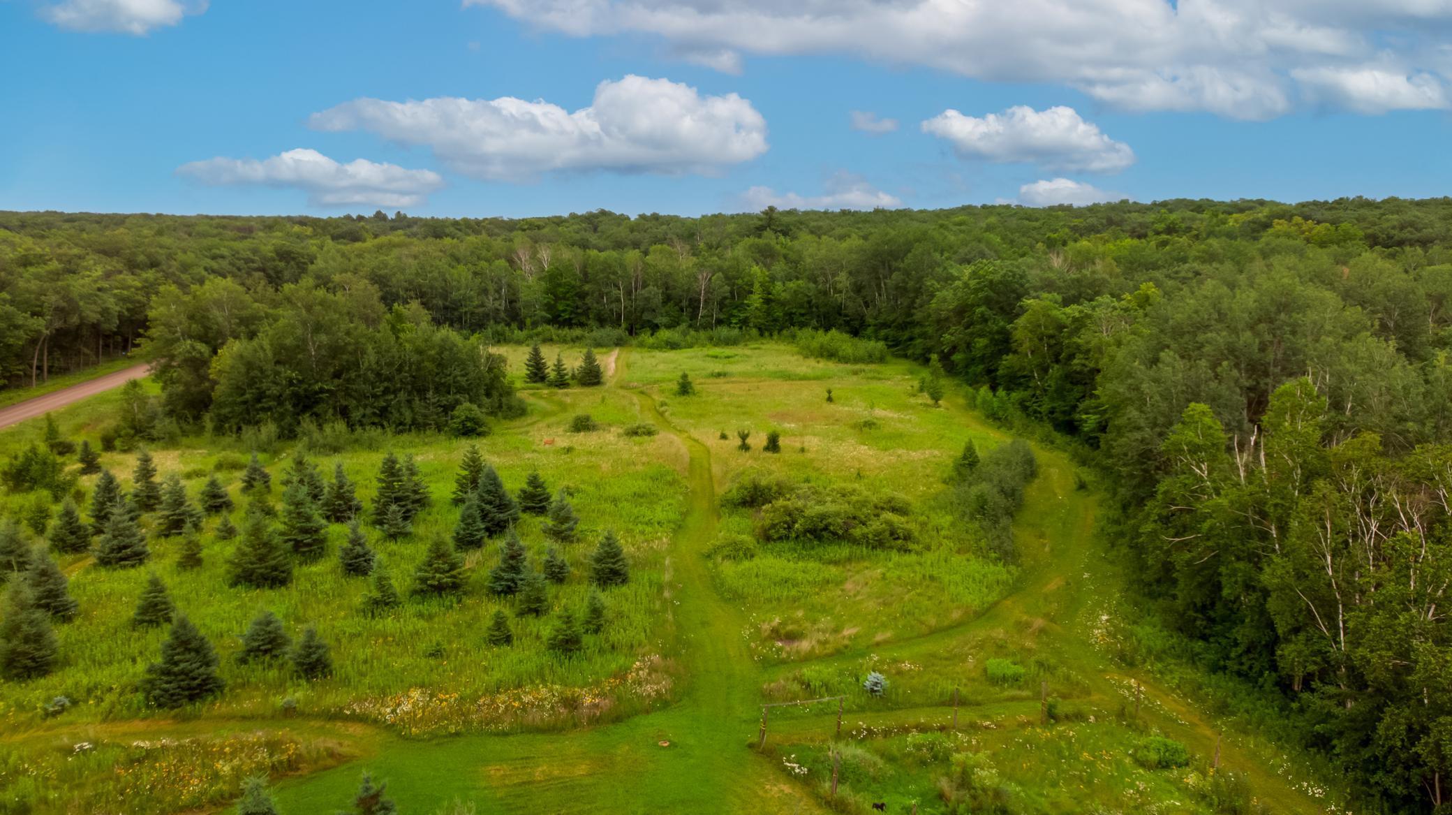 24555 Emstad Road Brainerd, MN 56401 - Photo 20 of 39