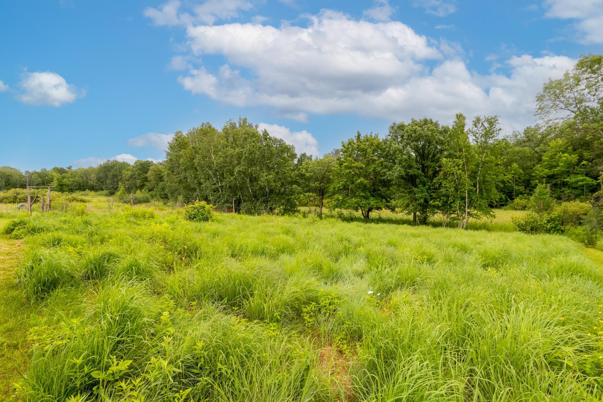 24555 Emstad Road Brainerd, MN 56401 - Photo 27 of 39
