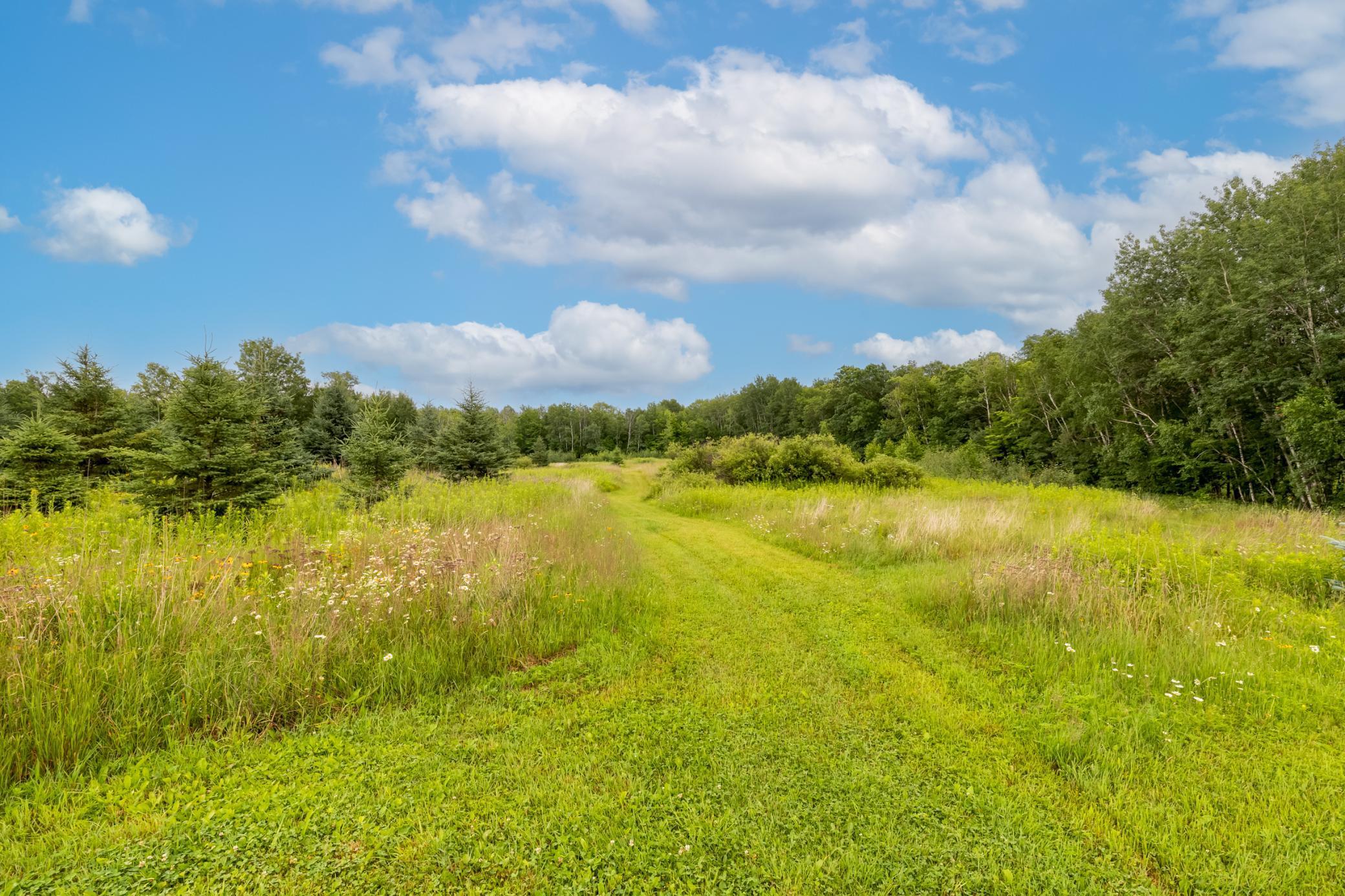 24555 Emstad Road Brainerd, MN 56401 - Photo 29 of 39