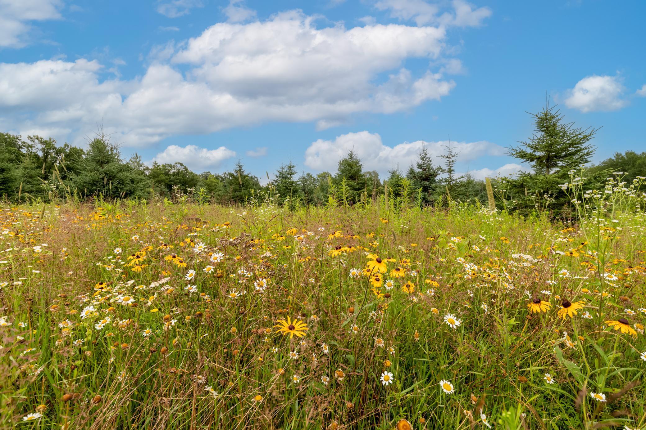 24555 Emstad Road Brainerd, MN 56401 - Photo 30 of 39