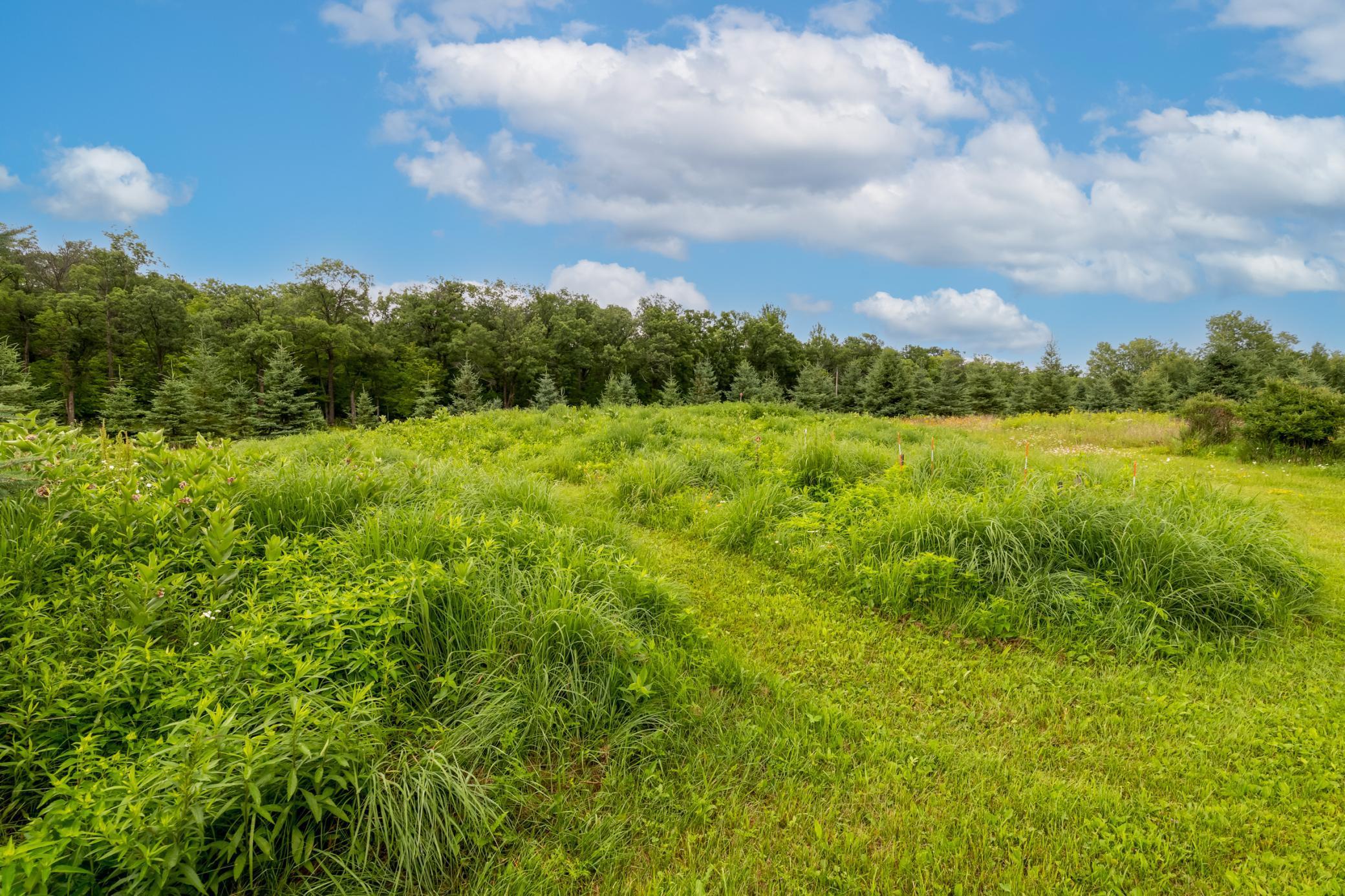 24555 Emstad Road Brainerd, MN 56401 - Photo 33 of 39