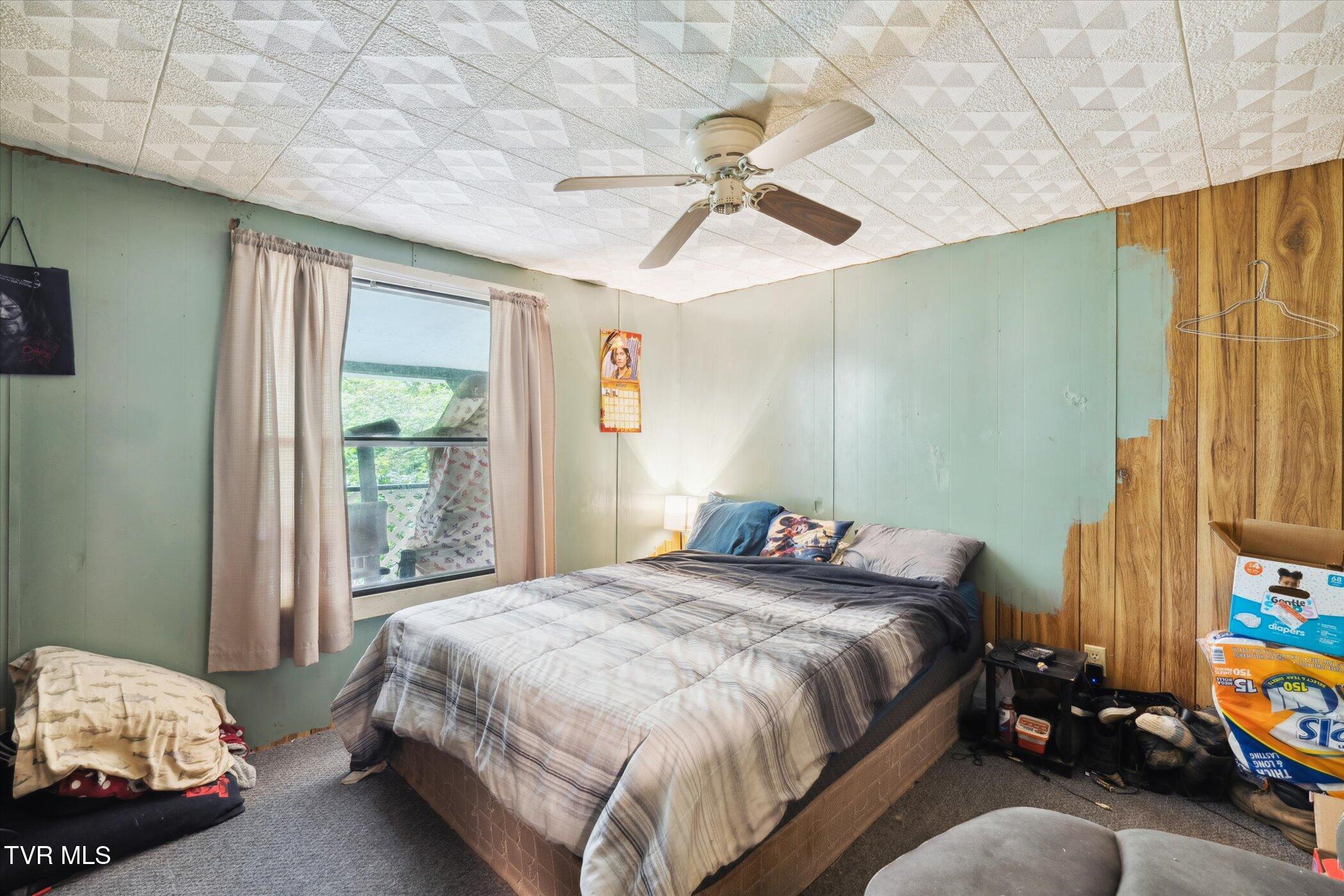 102 Tolley Lane Erwin, TN 37650 - Photo 27 of 40 27-102-Tolley-Ln-Erwin-TN-37650-WindowSt