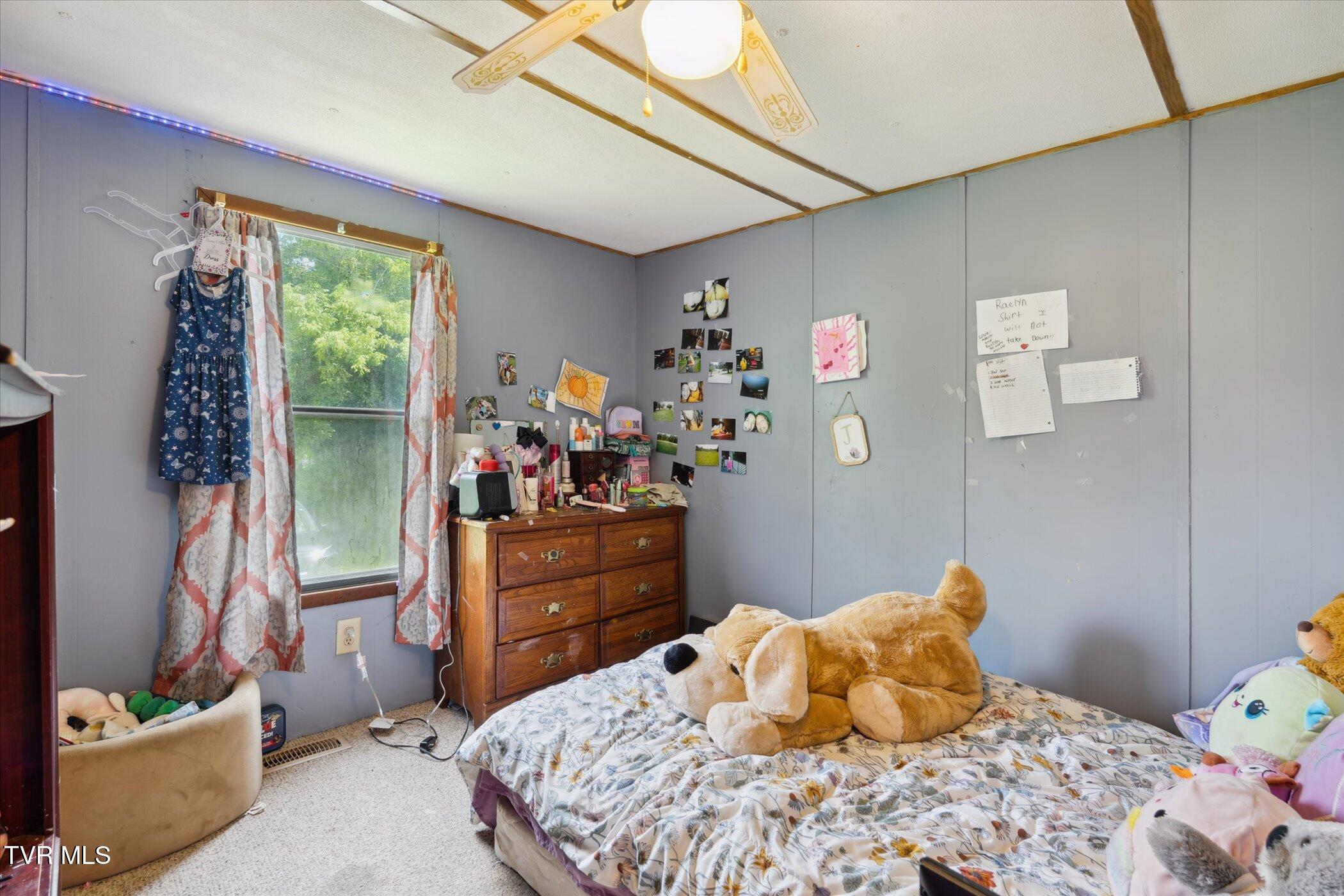 102 Tolley Lane Erwin, TN 37650 - Photo 30 of 40 36-102-Tolley-Ln-Erwin-TN-37650-WindowSt