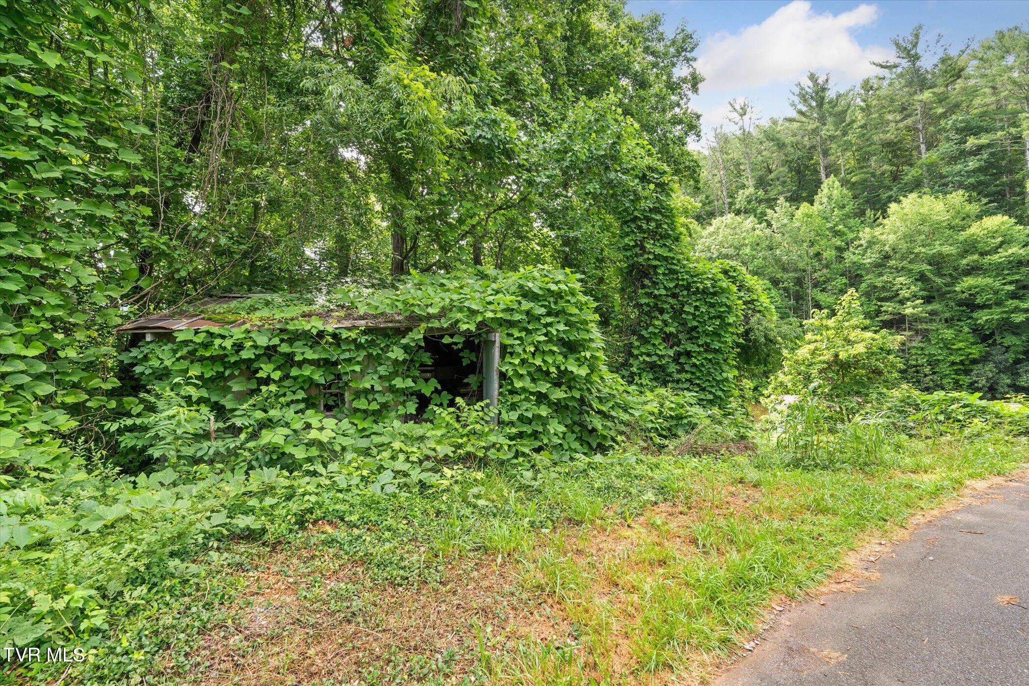 102 Tolley Lane Erwin, TN 37650 - Photo 37 of 40 52-102-Tolley-Ln-Erwin-TN-37650-WindowSt