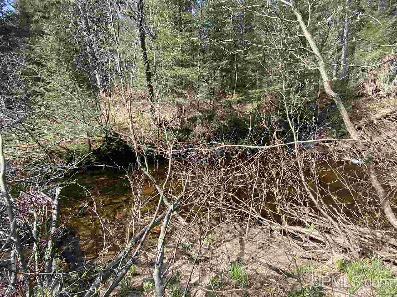 Tbd Tbd Co Road Negaunee, MI 49866 - Photo 13 of 40