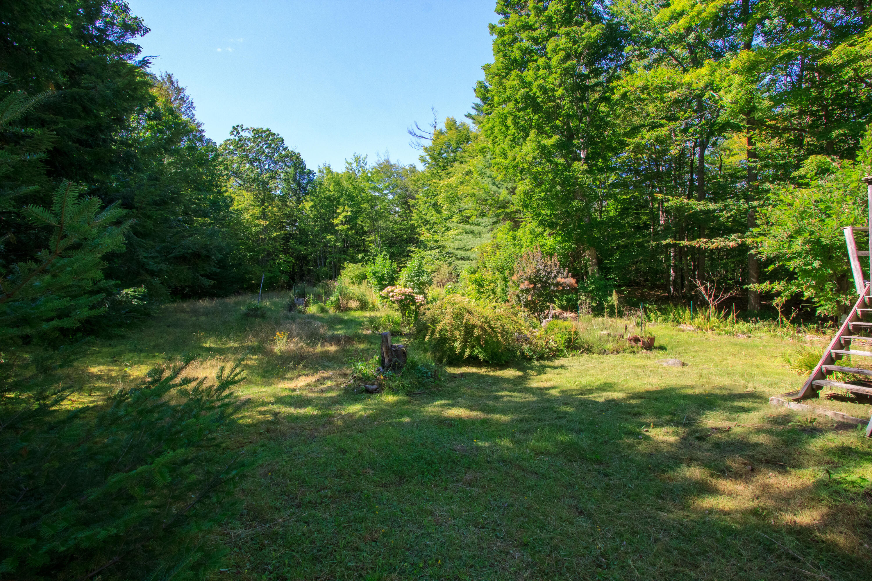 486 Hadley Mill Road Jackson, ME 04921 - Photo 61 of 76 486 Hadley (51 of 60)