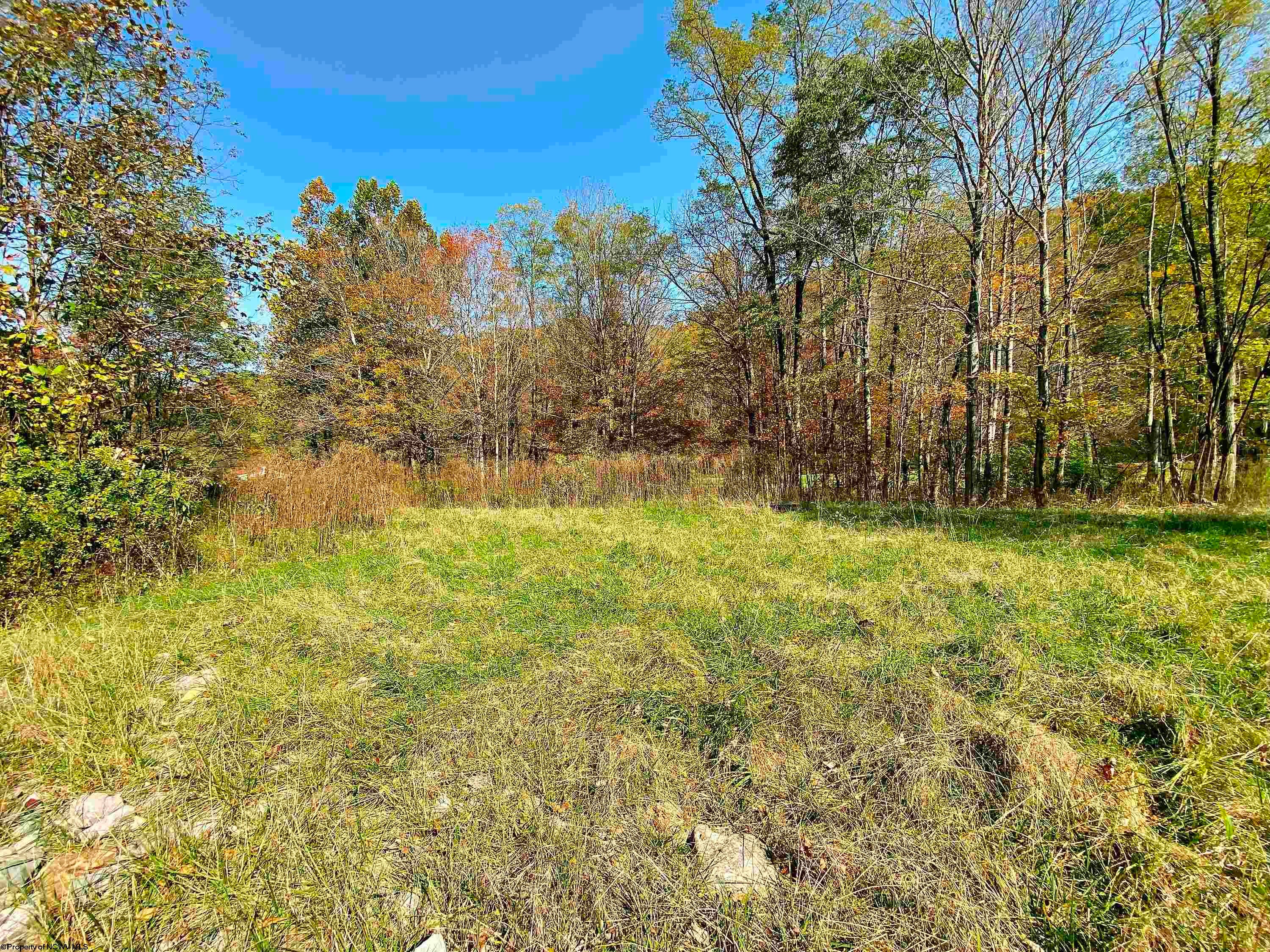 Tbd Blizzard Gate Road Harman, WV 26270 - Photo 12 of 16 Gallery Image 12