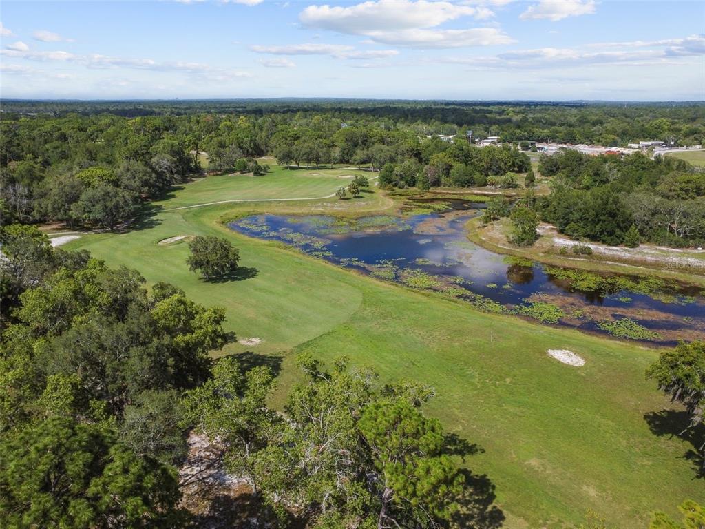 8976 Hernando Way Weeki Wachee, FL 34613 - Photo 78 of 82 Gallery Image 78
