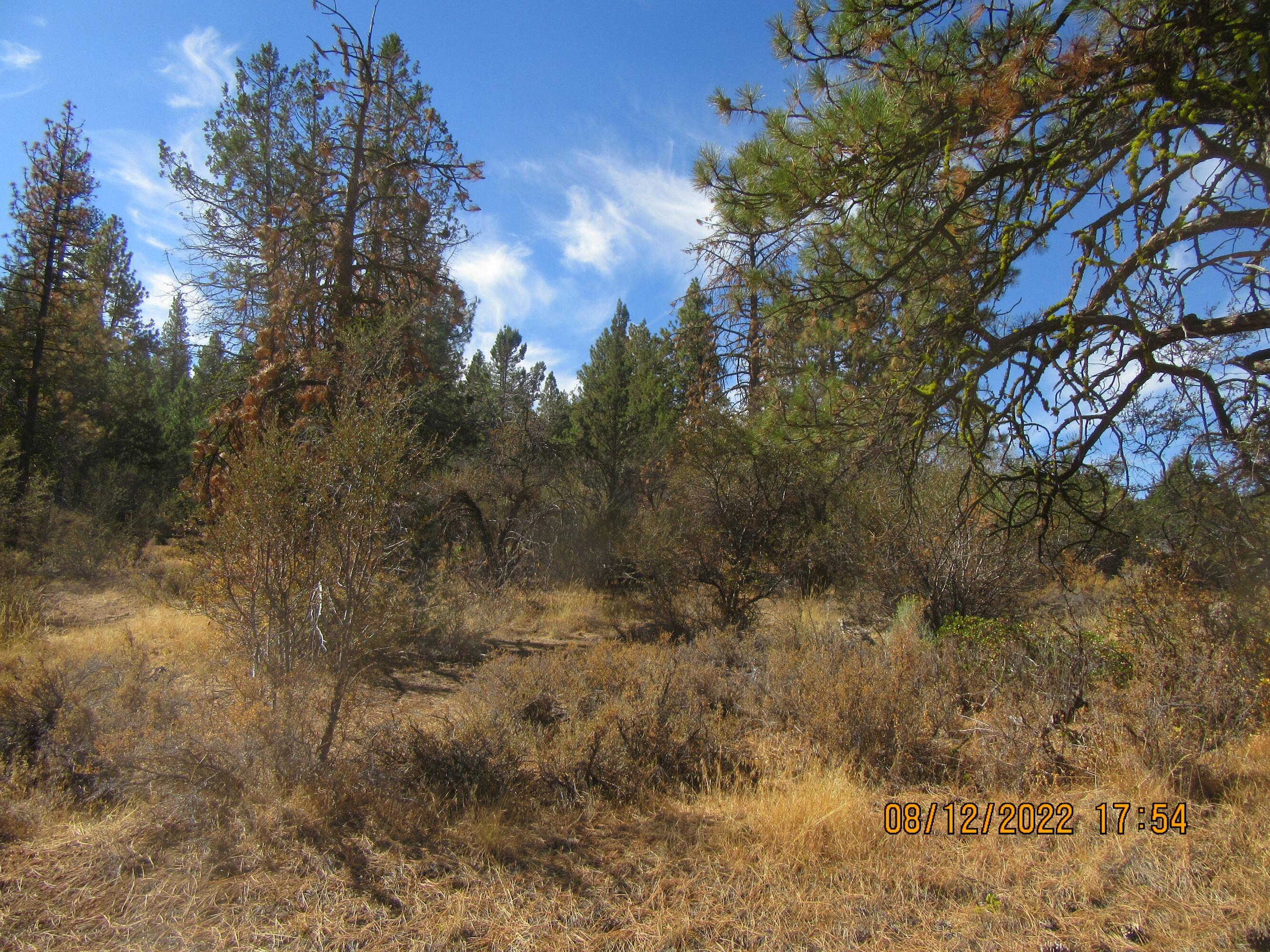 Lot 2 Tiger Lane Bonanza, OR 97623 - Photo 11 of 12 Tiger 7