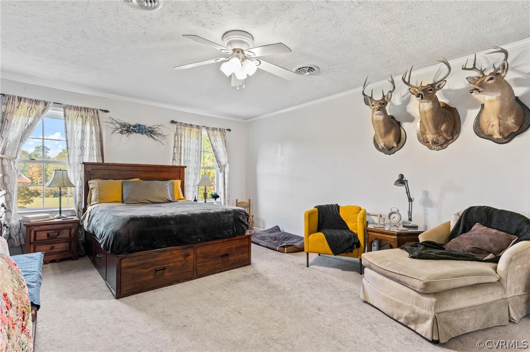 9280 Old Stage Road Prince George, VA 23875 - Photo 21 of 38 Gallery Image 21
