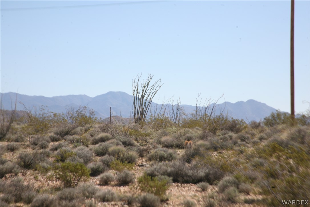 208-24-134 Cameron Road Yucca, AZ 86438 - Photo 60 of 86
