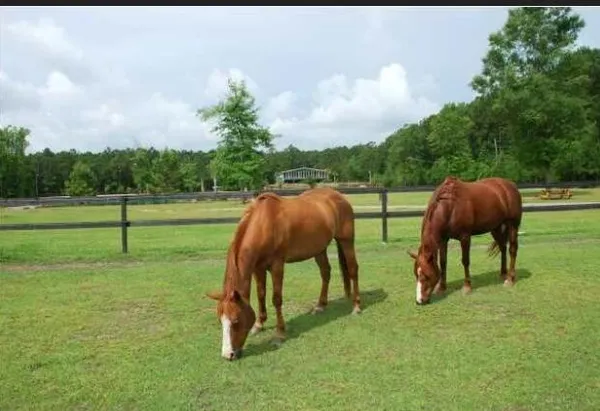 $8,500 | 2003 United Drive, Huger, SC 29450