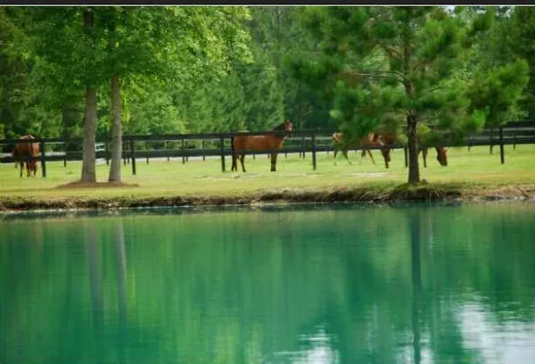 $8,500 | 2003 United Drive, Huger, SC 29450