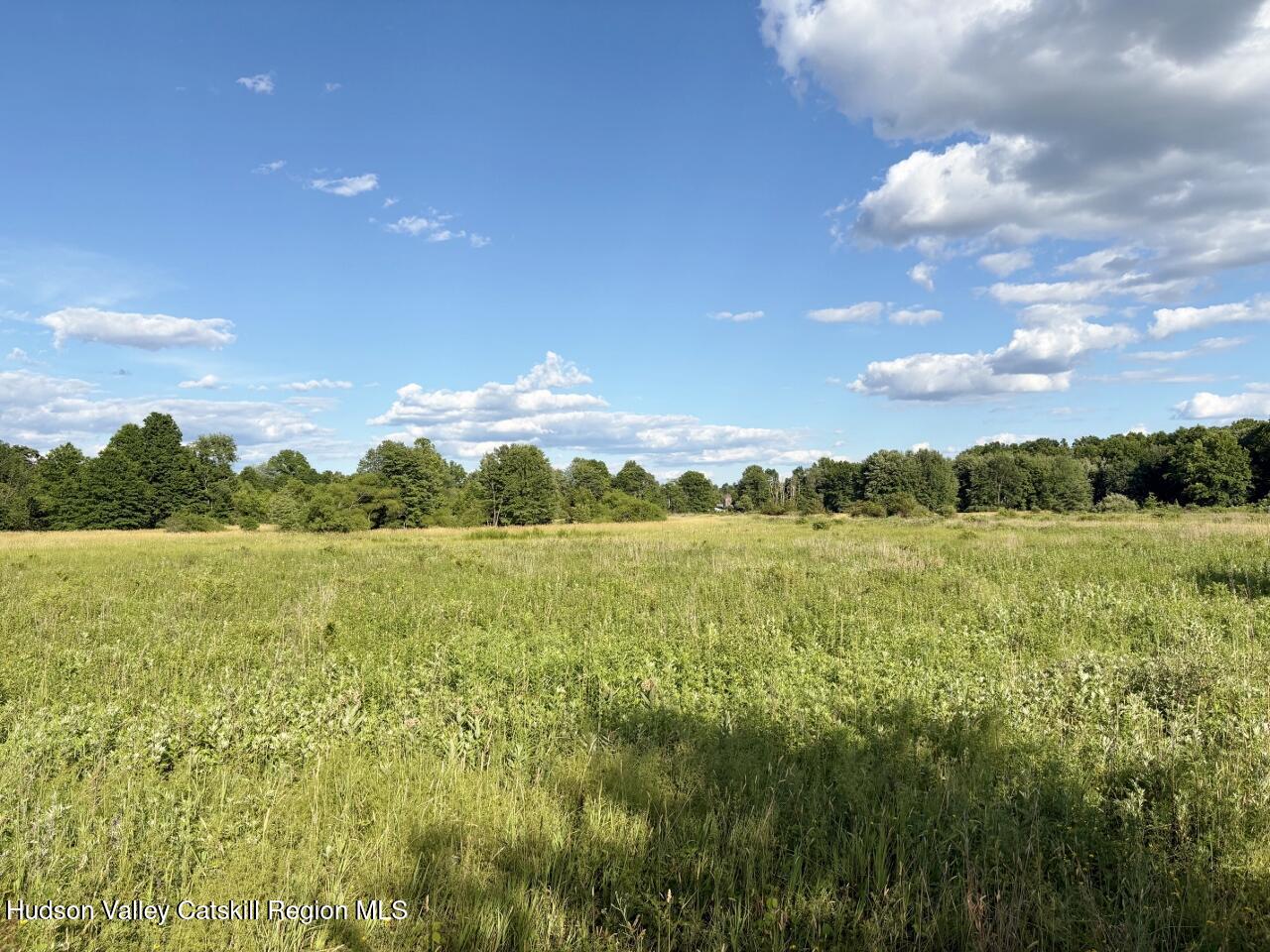 239 Springtown Road New Paltz, NY 12561 - Photo 17 of 42 Pasture