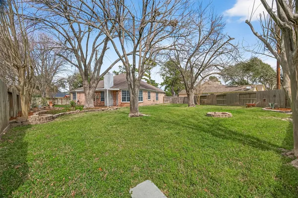 a view of a yard with a large tree
