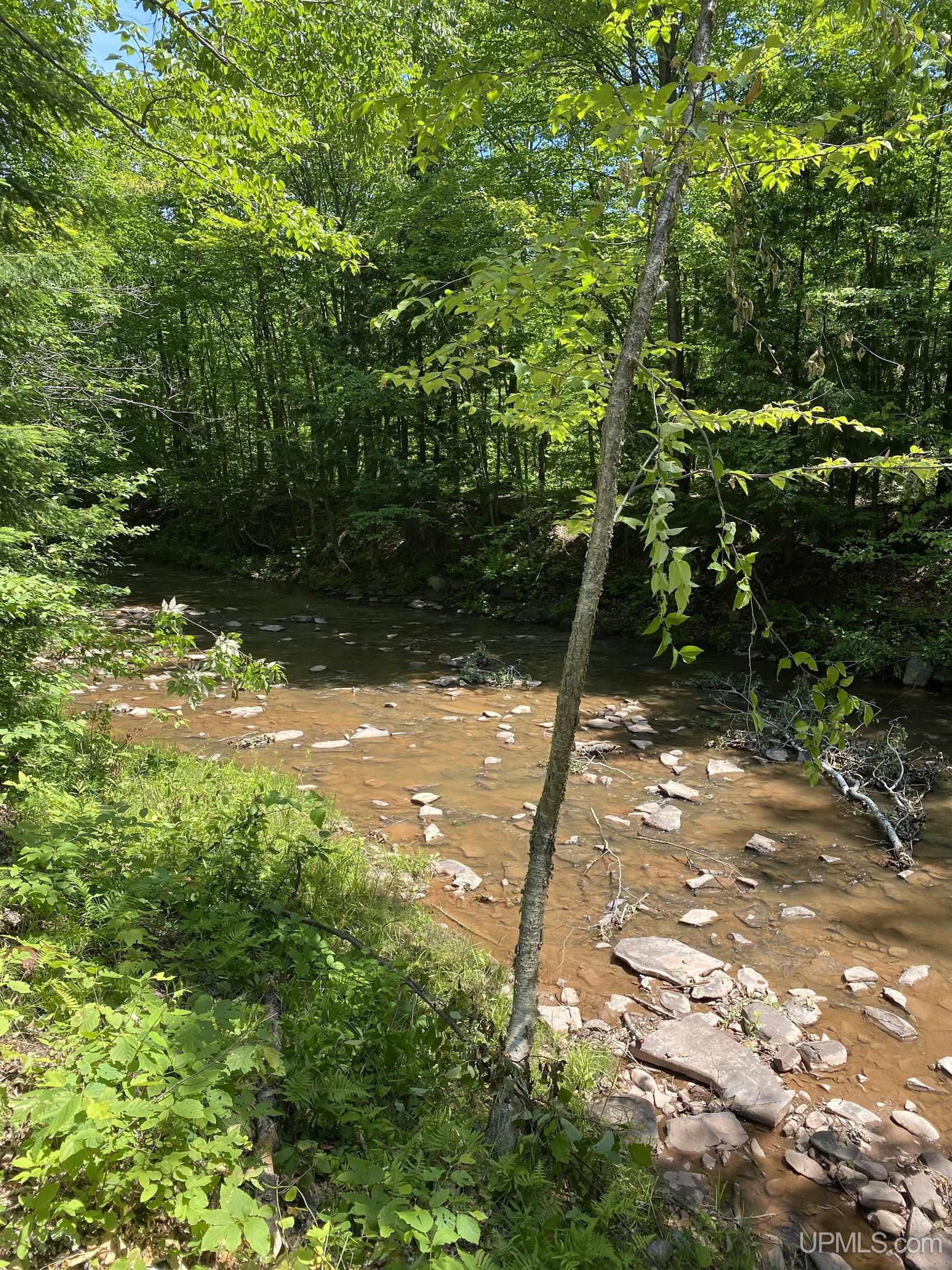 Tbd Tbd Kingfisher Road Ontonagon, MI 49953 - Photo 2 of 6