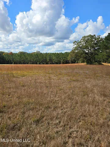 $119,000 | 13 Hwy Mendenhall Ms 39114, Mendenhall, MS 39114