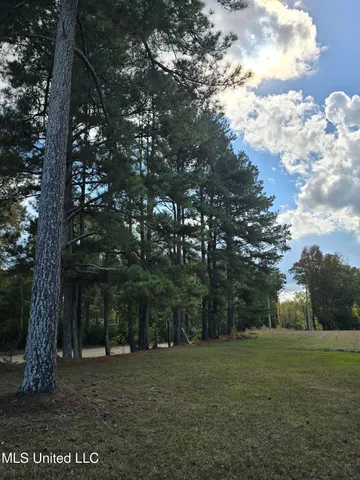 $119,000 | 13 Hwy Mendenhall Ms 39114, Mendenhall, MS 39114