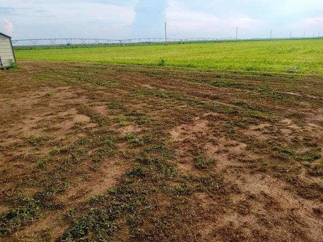 a view of an ocean from a yard