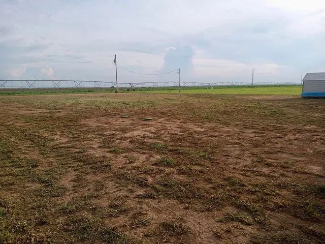 a view of a large body of water with a large tree