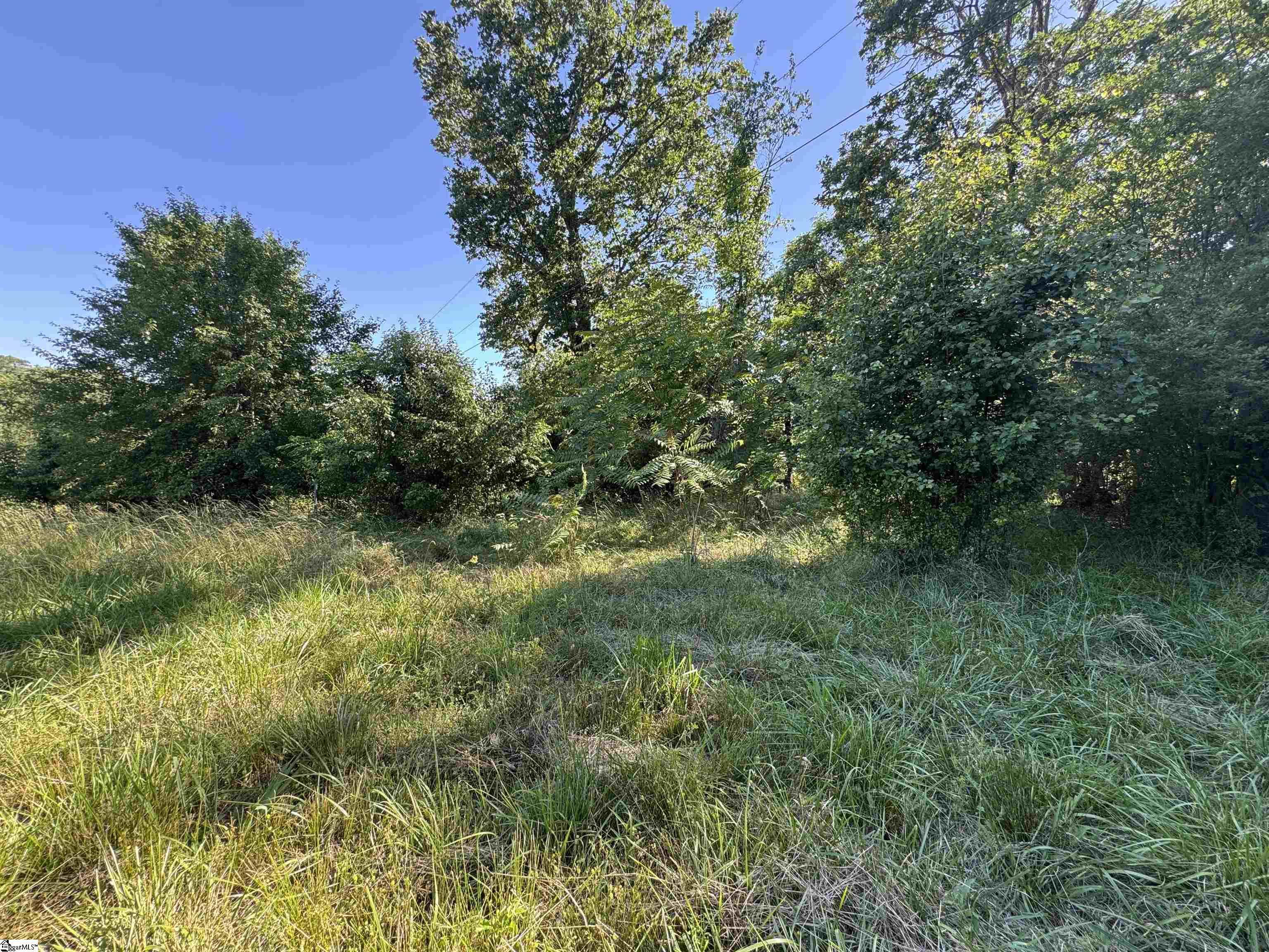 0 Farmers Hill Road Liberty, SC 29657 - Photo 3 of 3