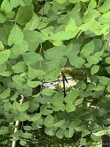 $399,000 | 539 Fairway Road, Orange, CT 06477