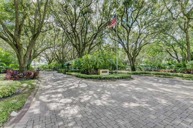 a view of a tree in the middle of a yard