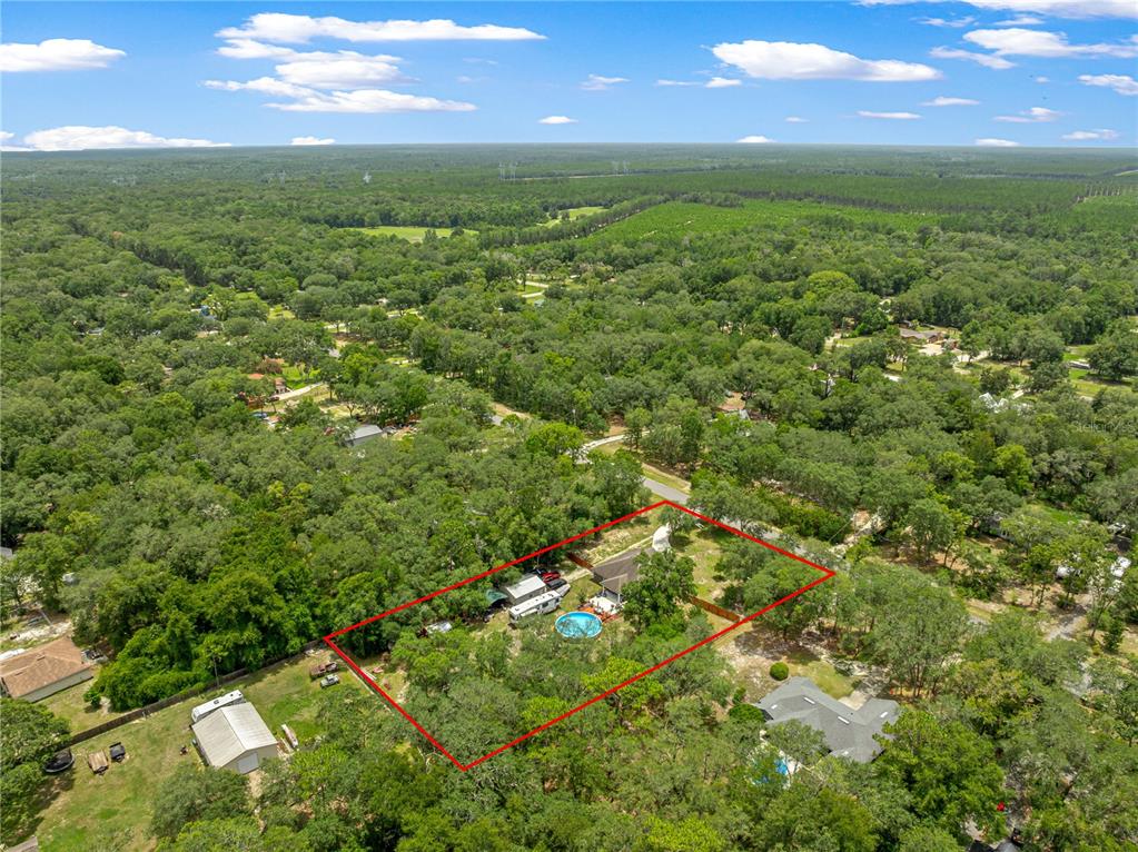 4328 Chokeberry Road Middleburg, FL 32068 - Photo 43 of 45