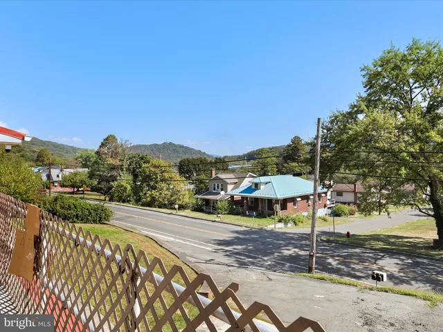 a view of a street with a large trees