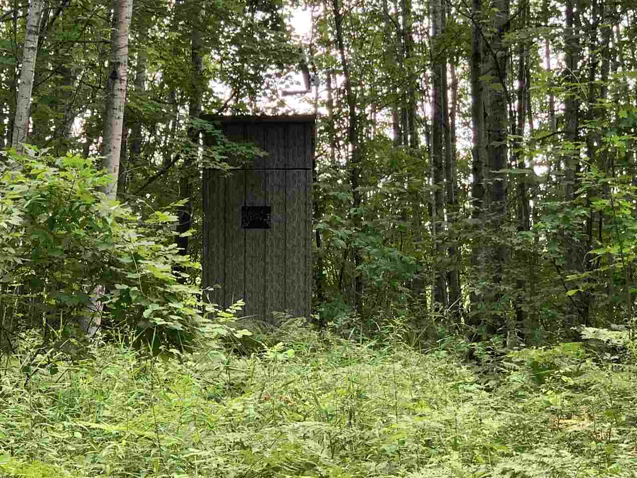 1222 Secord Dam Road Gladwin, MI 48624 - Photo 51 of 54