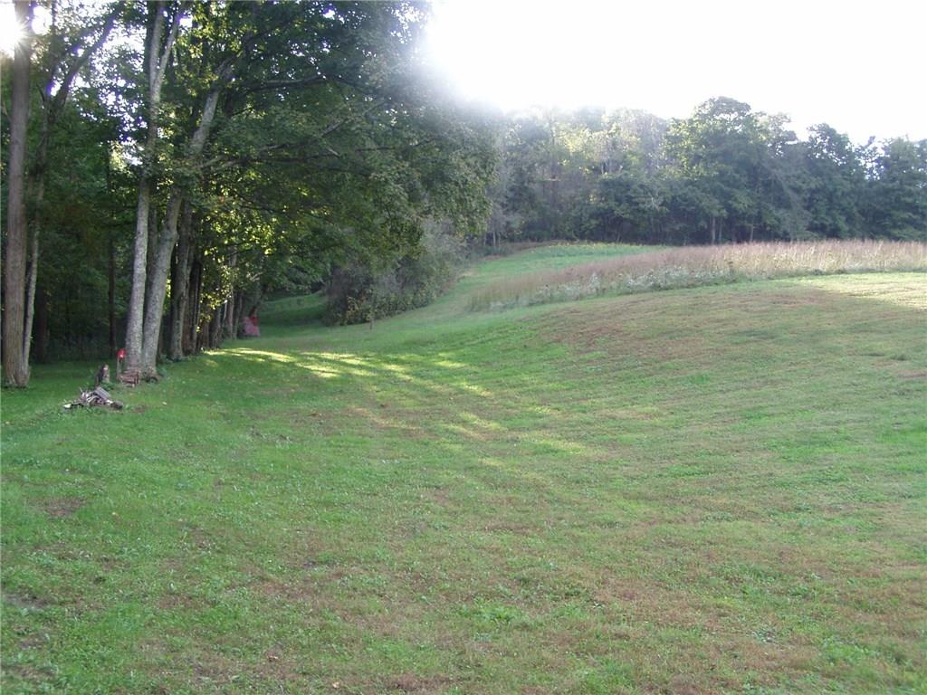 381 Little Creek Road Amity, PA 15311 - Photo 23 of 25 Large Rear Yard Extending to the 11.2 acres