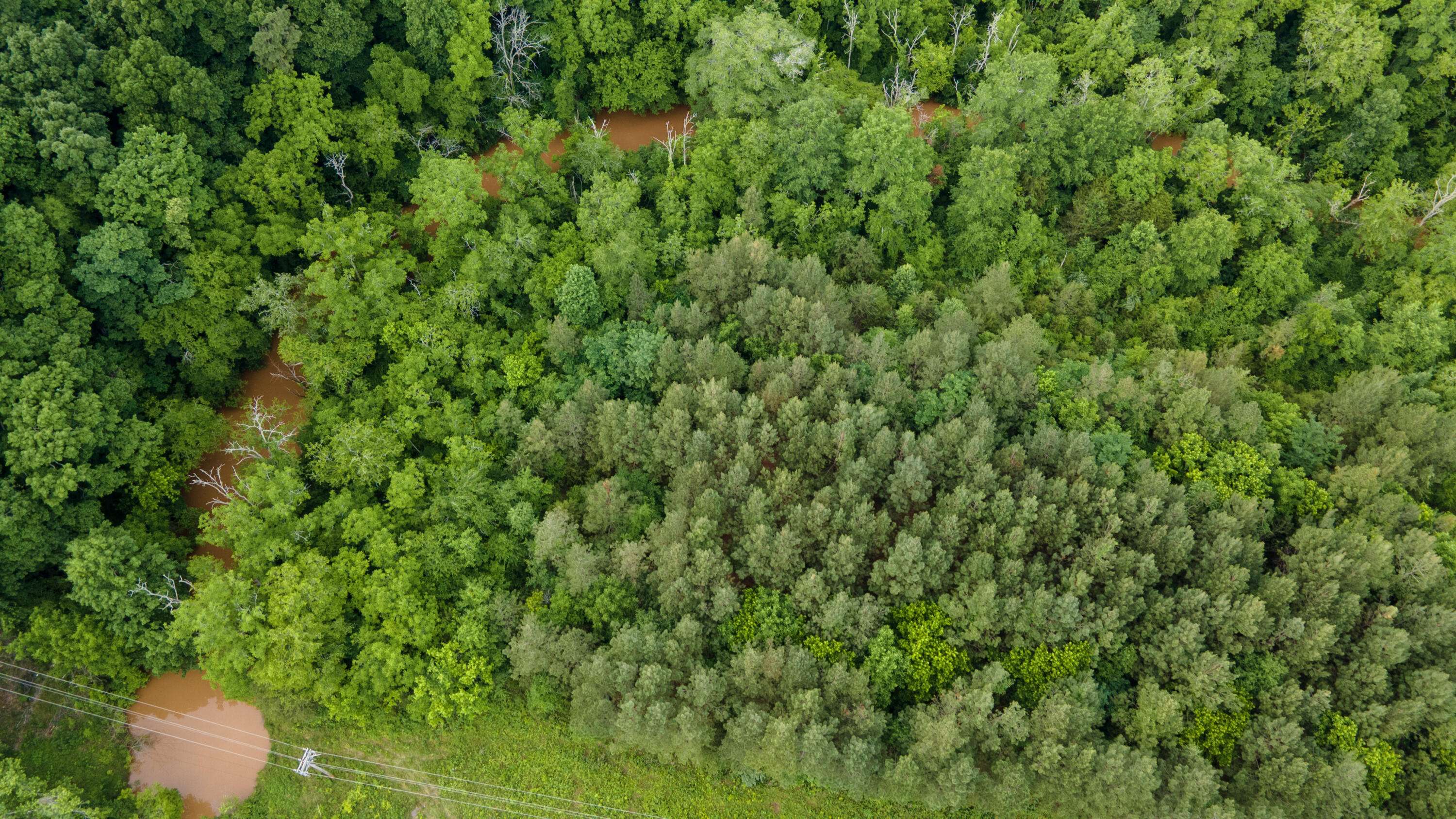 Lot 5 State Highway Calhoun, TN 37309 - Photo 3 of 9 3-69-DJI_0985