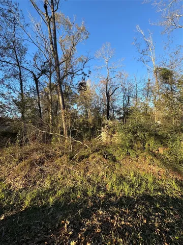 a view of a yard of the house