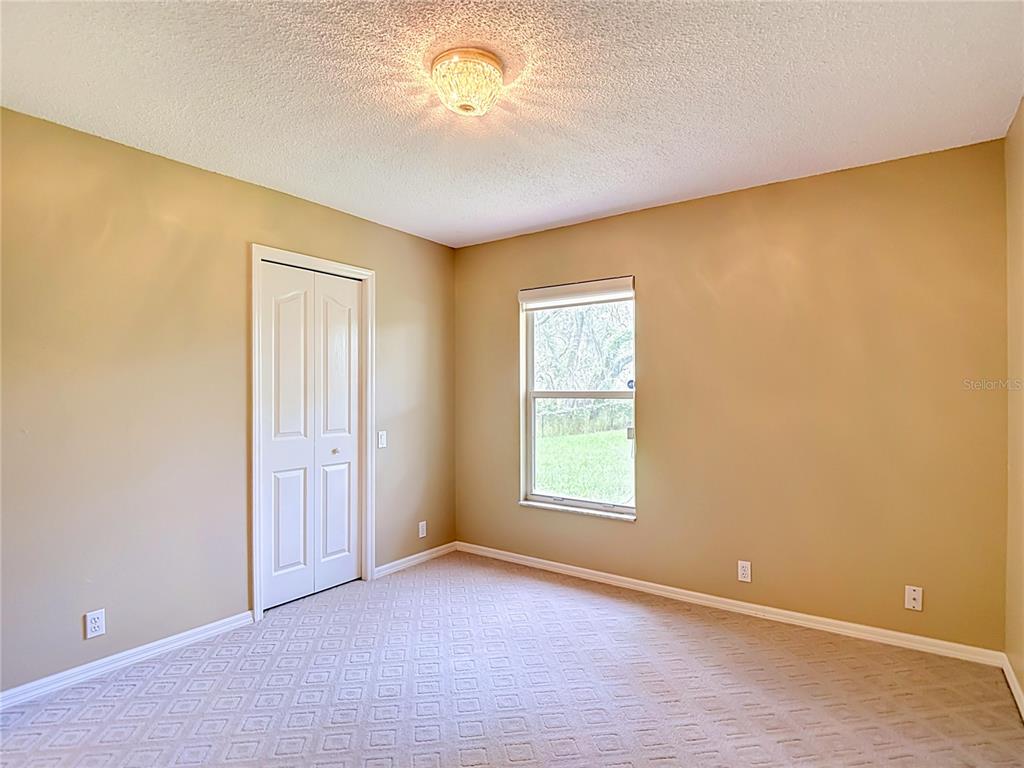 9433 Wilderness Trail Weeki Wachee, FL 34613 - Photo 25 of 42