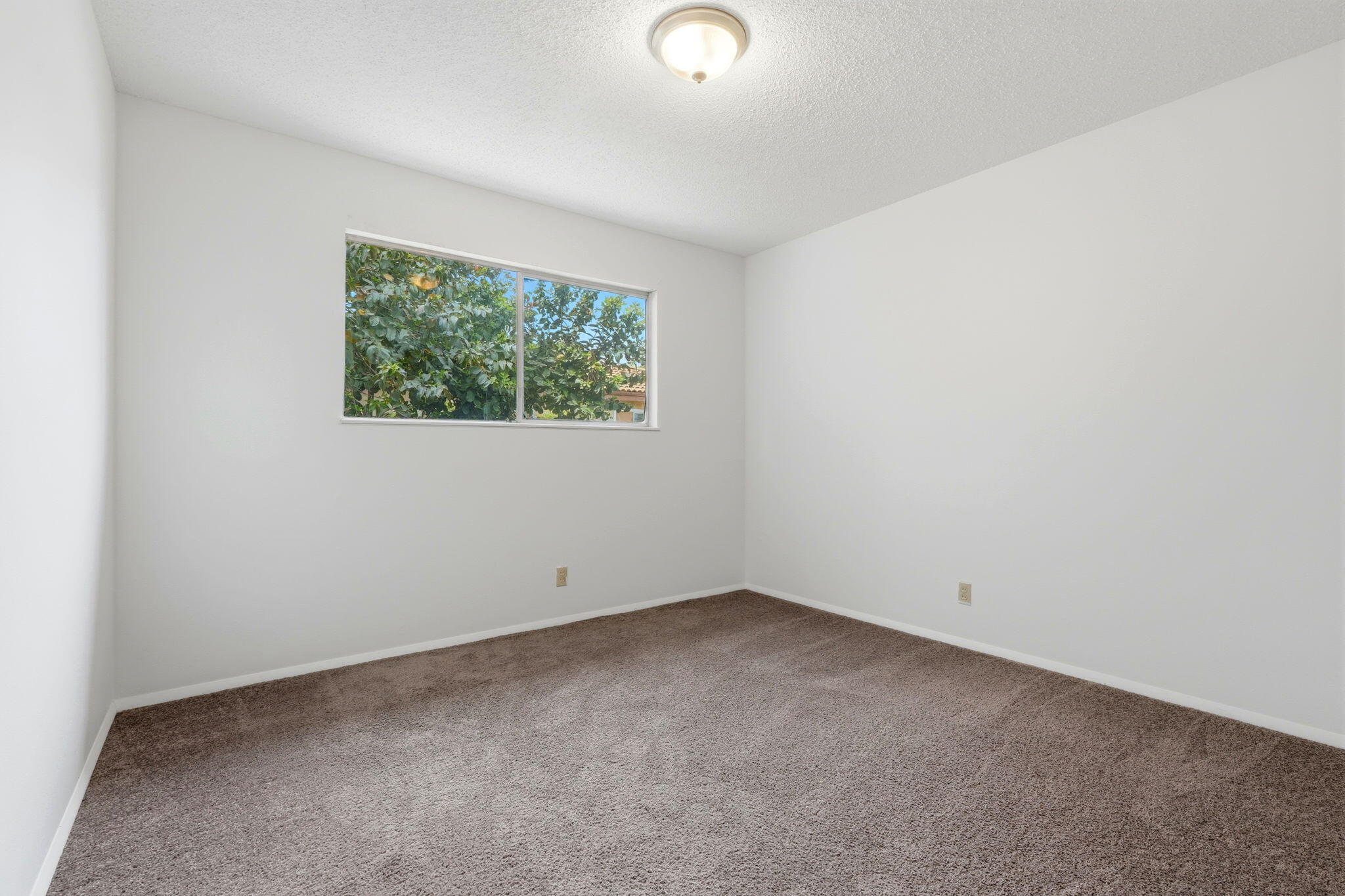 1123 East Washington Avenue Reedley, CA 93654 - Photo 33 of 54 35-1123_E_Washington_Ave_034