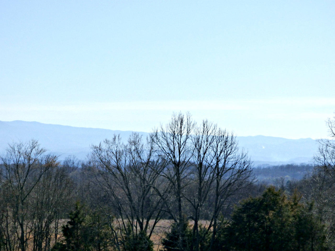Lot 4 Valley Home Road Dandridge, TN 37725 - Photo 5 of 30 P1180407