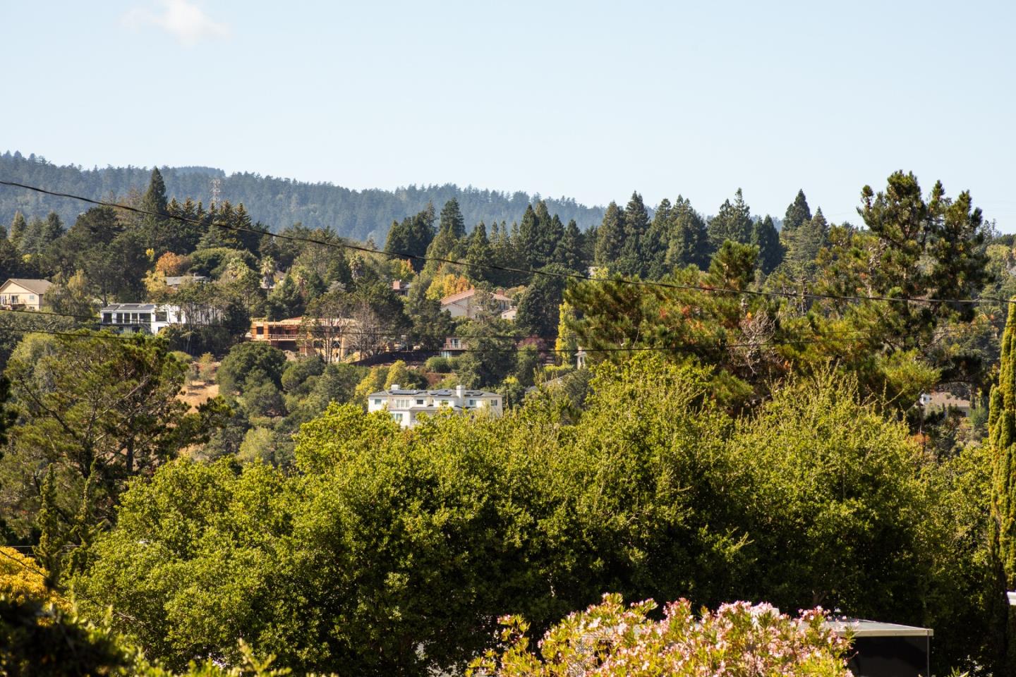 147 Lakeshore Drive San Mateo, CA 94402 - Photo 29 of 36