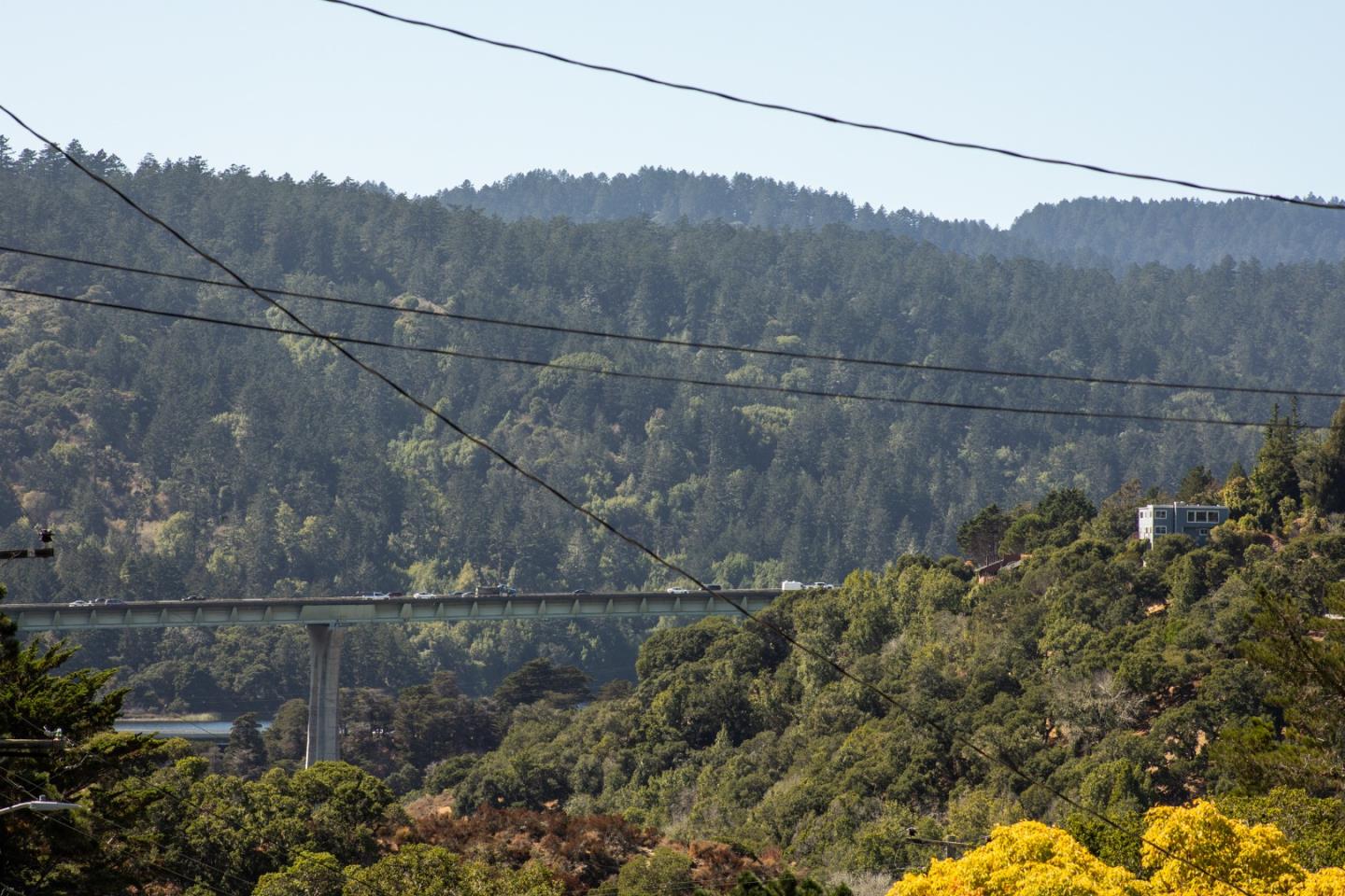 147 Lakeshore Drive San Mateo, CA 94402 - Photo 33 of 36 a view of a backyard