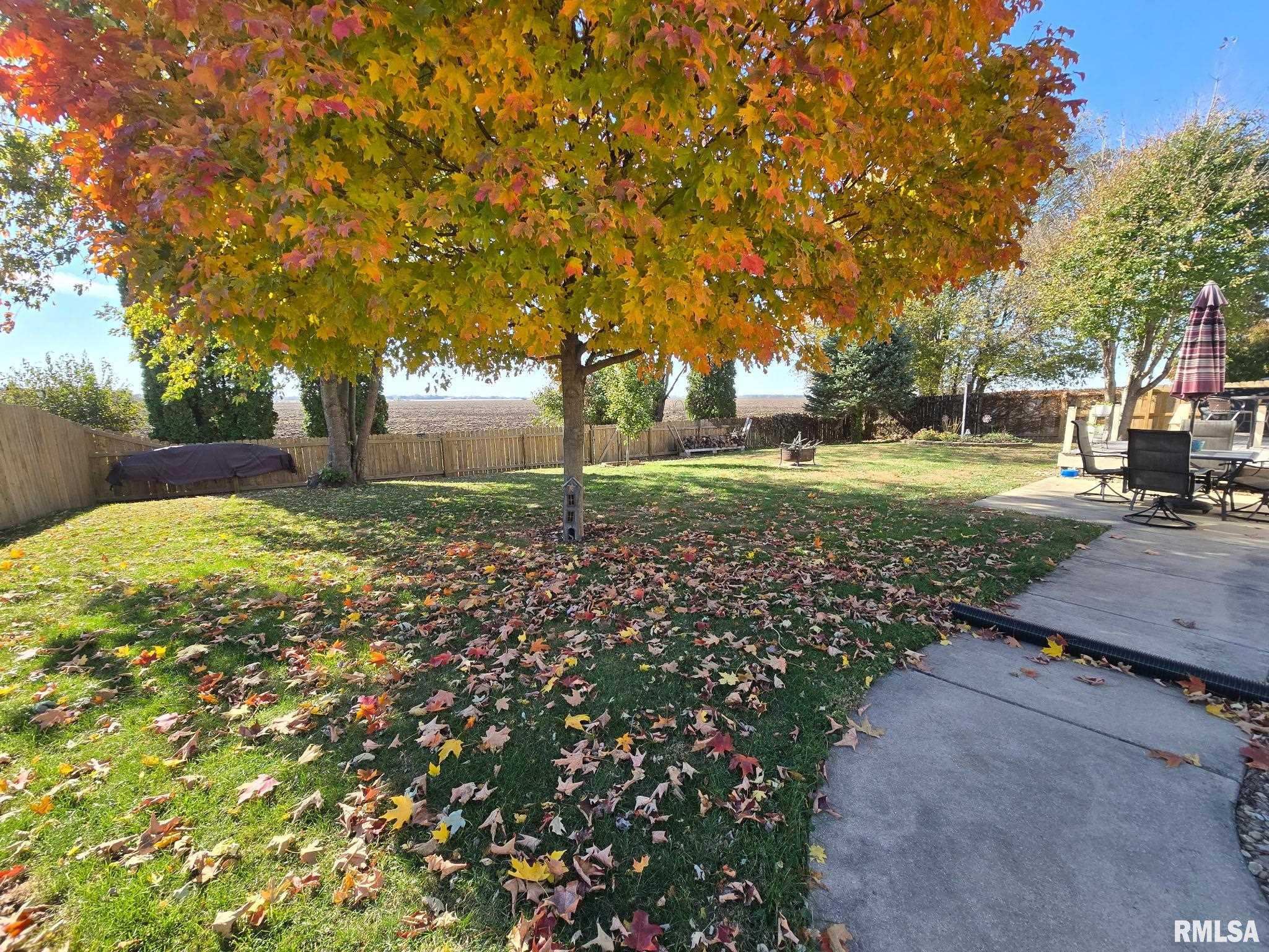 2804 Hastings Road Chatham, IL 62629 - Photo 50 of 52 Gallery Image 50