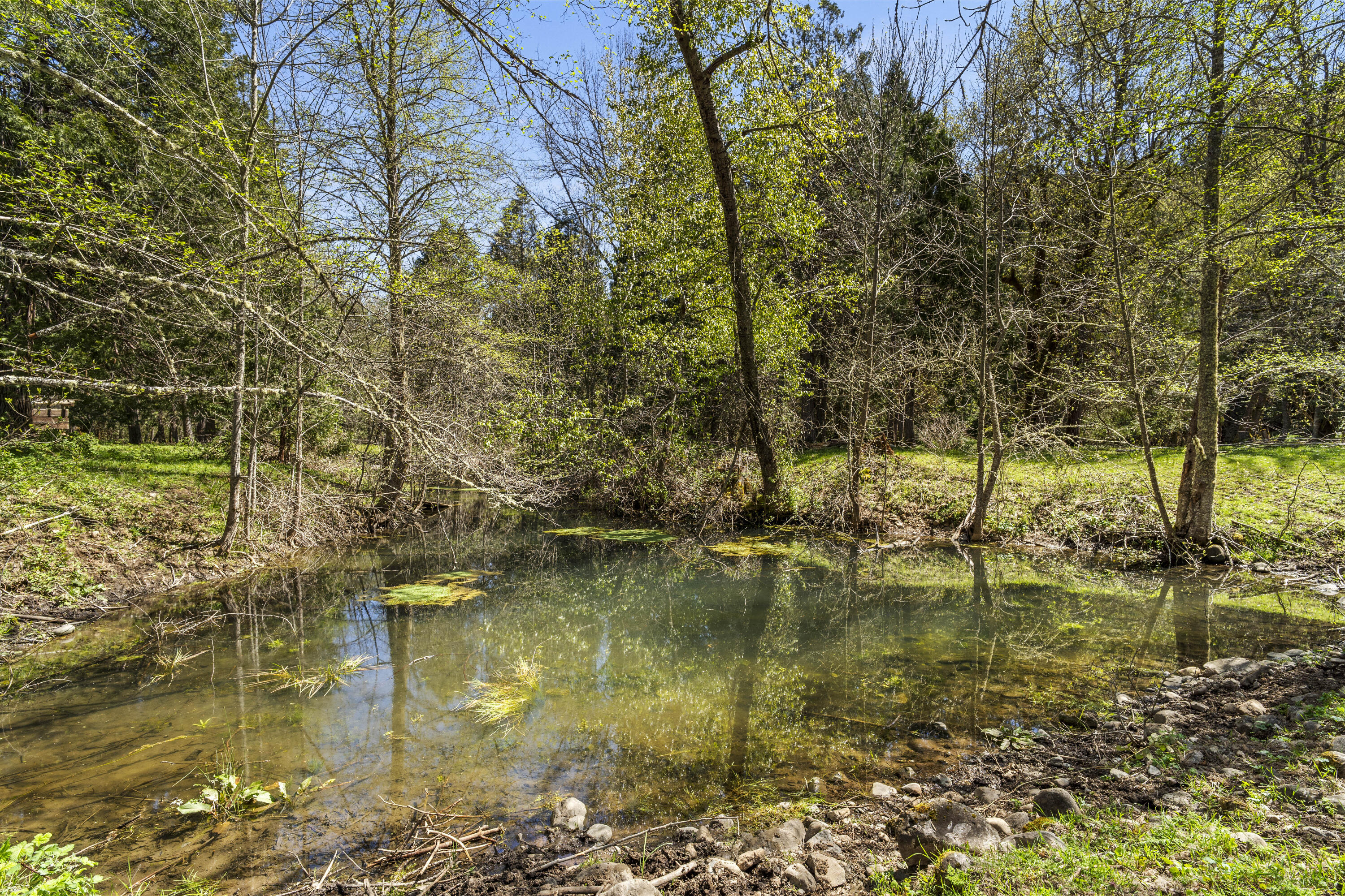 2800 Cedar Flat Road Williams, OR 97544 - Photo 32 of 48 Spring-Fed Pond