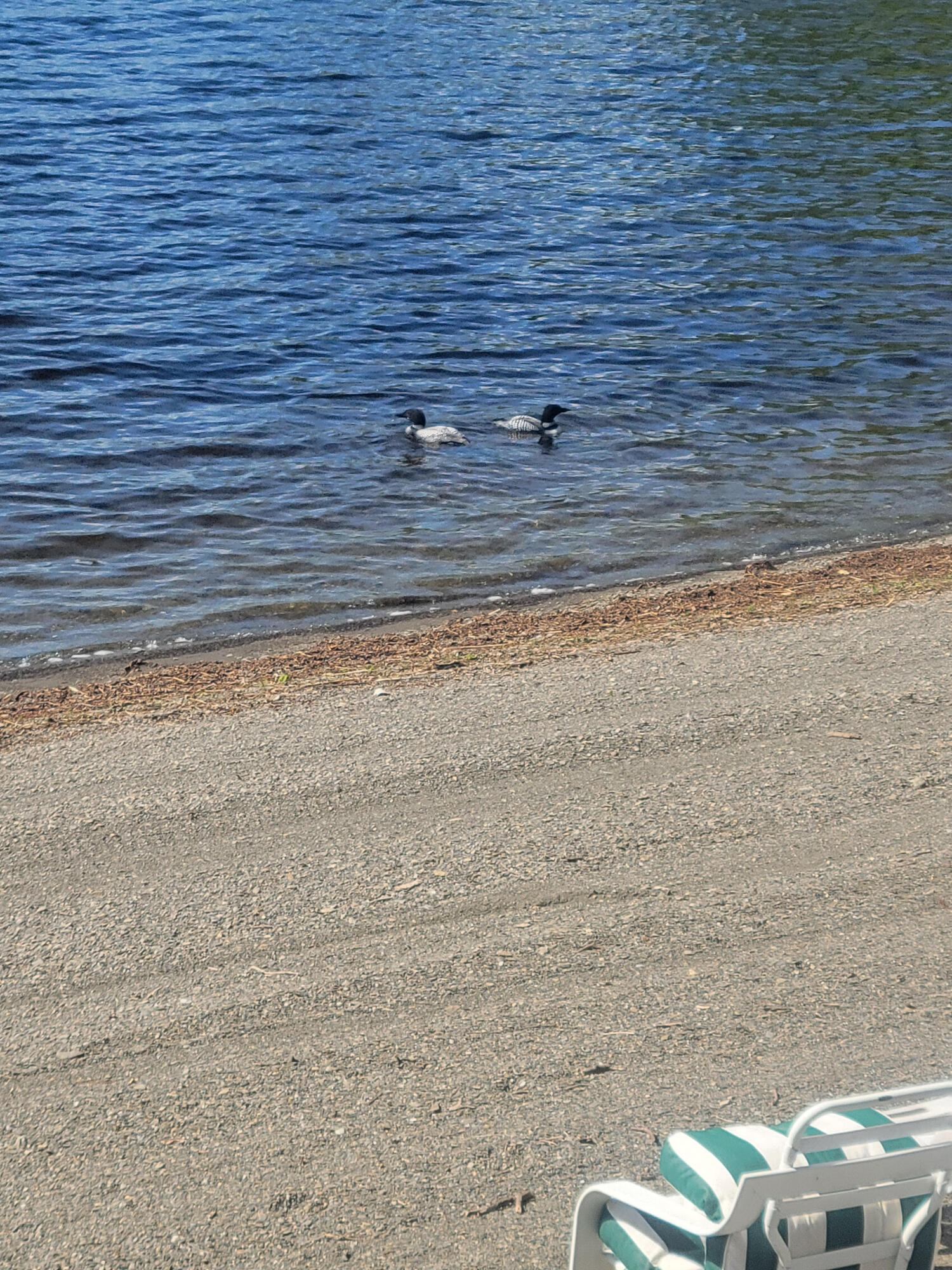 13 South Brook Lane Eagle Lake, ME 04739 - Photo 40 of 59 17