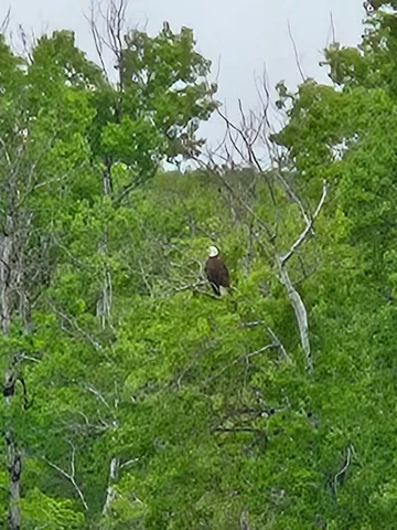 $1,200,000 | 13 South Brook Lane, Eagle Lake, ME 04739