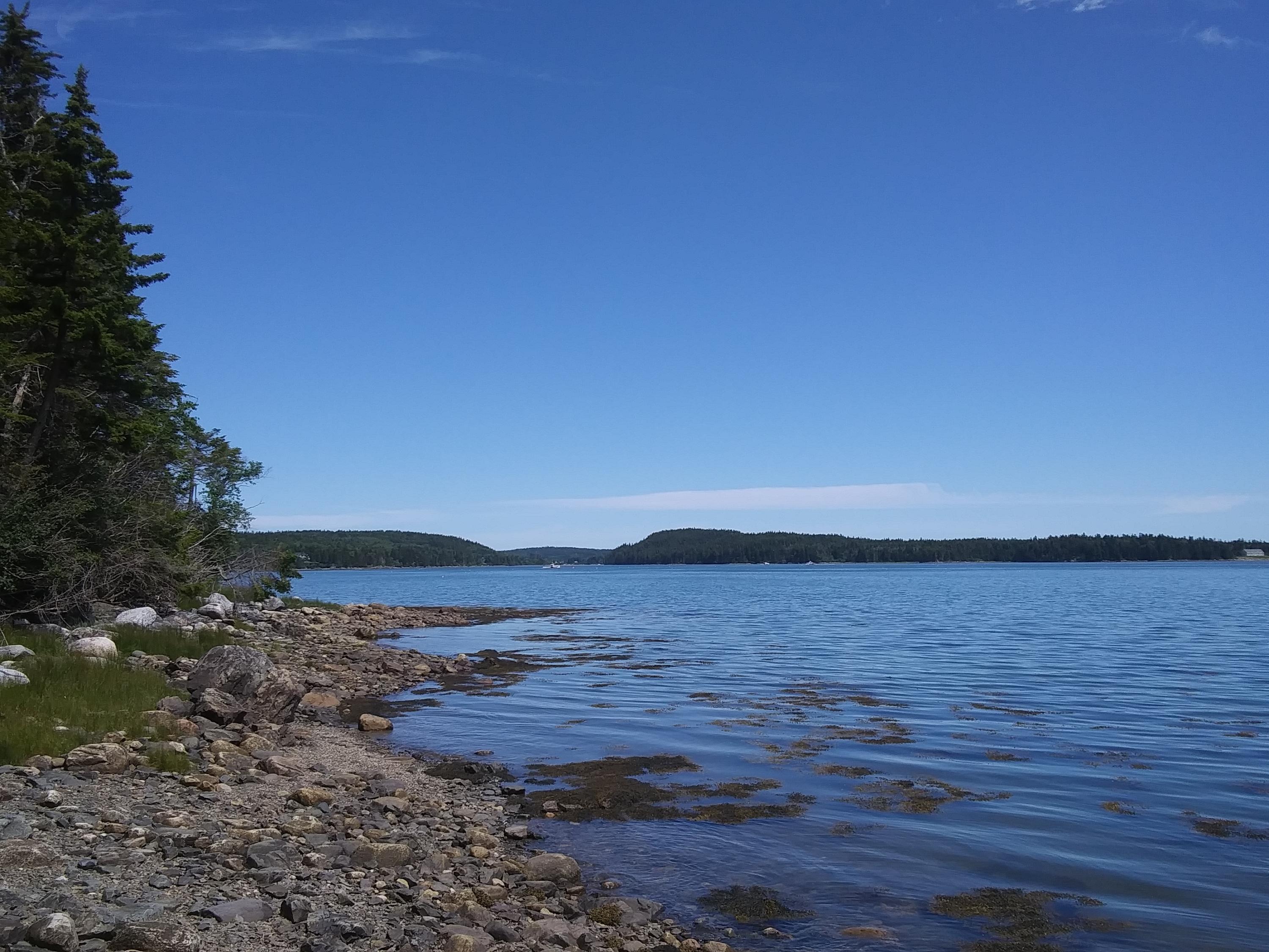 710 Duck Cove Road Roque Bluffs, ME 04654 - Photo 9 of 40 20190718_112940