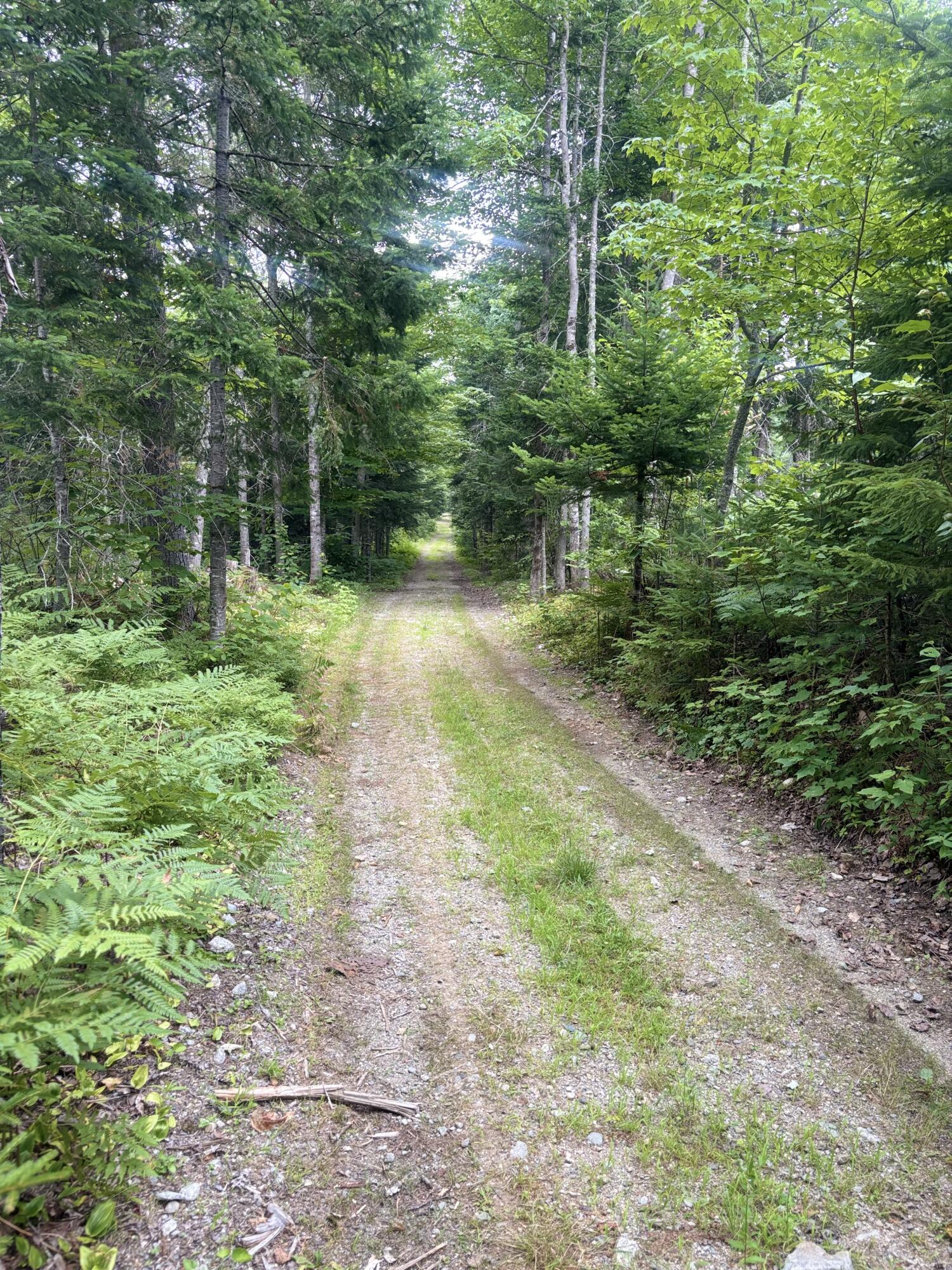 64 Ip Road Stratton, ME 04982 - Photo 44 of 56